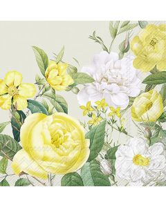 YELLOW ROSE GARDEN sage 25 cm