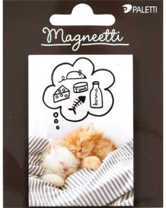 Magneetti kissat