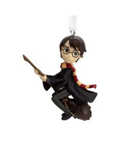 Koriste Harry Potter