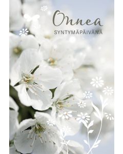 2-osainen syntymäpäiväkortti Jämsen