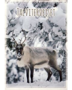 1-os kortti talvi