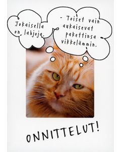 Postikortti hupi