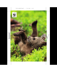 1-os kortti WWF