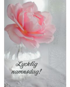 1-os nimipäivä R
