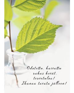 1-os kevätkortti
