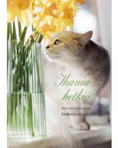 Postikortti kevät