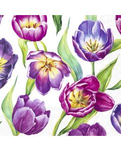 TULIP MEADOW white 25cm