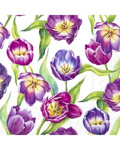 TULIP MEADOW white 33cm
