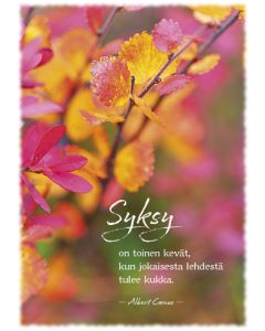 1-os syyskortti