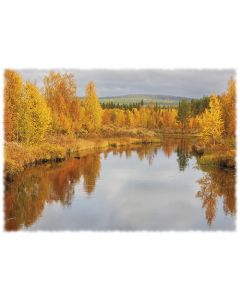 1-os syyskortti