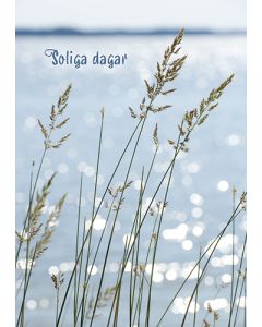 1-os kortti R kesä
