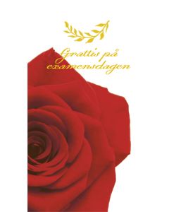 2-os valmistunut R