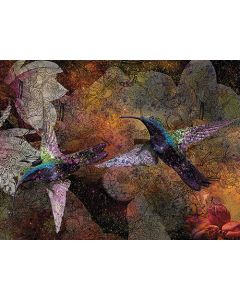 Juliste 60x80cm Kolibri