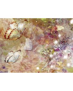Juliste 60x80cm Vaaleat perhoset