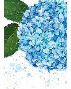 Vihko A5 Kukka Hortensia