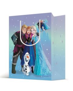 Lahjakassi M/E Frozen