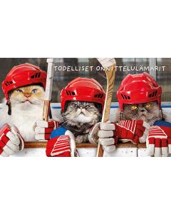 2-osainen hupikortti