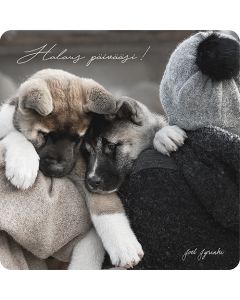 2-os neliökortti Joel Jyrinki