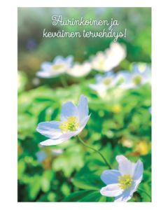Postikortti kevät