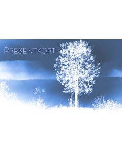 2-os Lahjakortti R 6 kpl pss