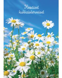 Postikortti kesä