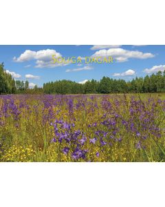 Postikortti kesä ruotsinkielinen