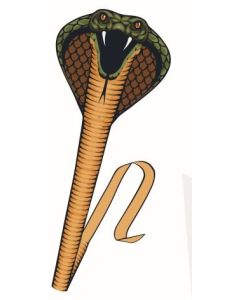 Günther Cobra leija, 69x64 cm