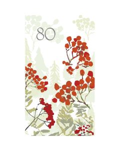 2-os vuosikortti 80v Merja Palin