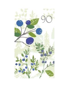 2-os vuosikortti 90v Merja Palin