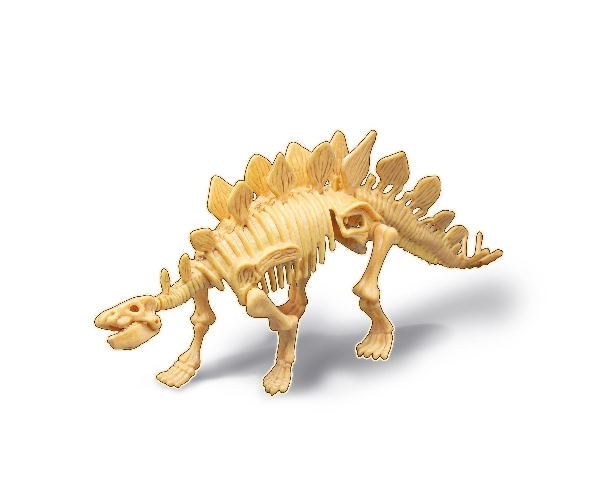 Dino Kit Stegosaurus