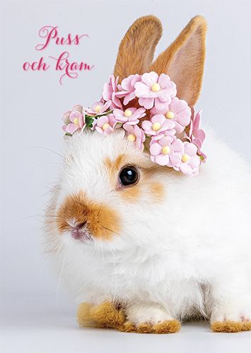 Postikortti eläin