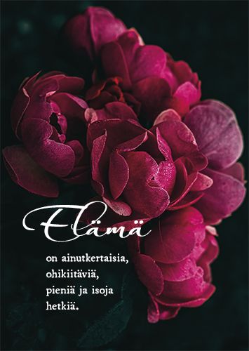Postikortti