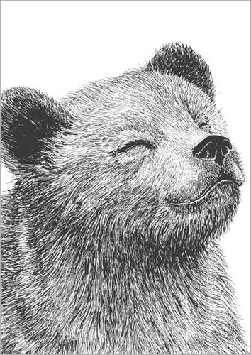 Postikortti Finlayson