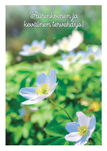 Postikortti kevät