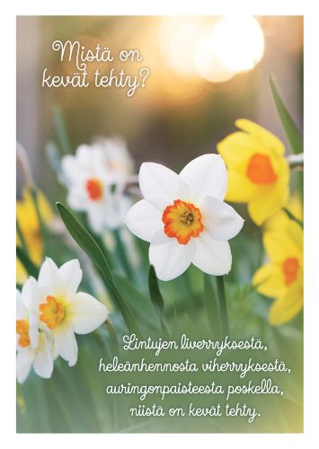Postikortti kevät
