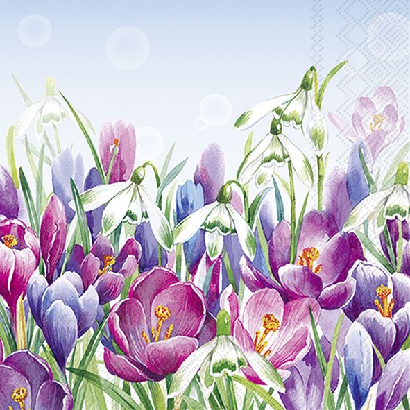 CROCUS light blue Lautasliina 33cm