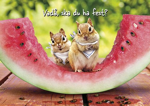 Postikortti hupi Avanti ruotsinkielinen