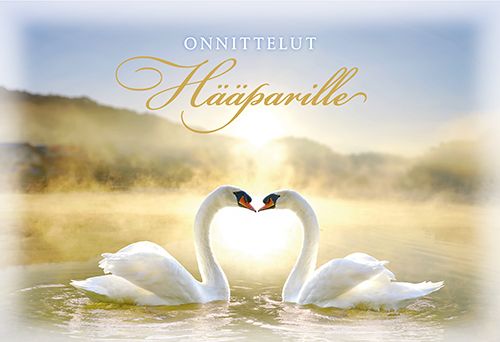 2-osainen hää setelitaskukortti