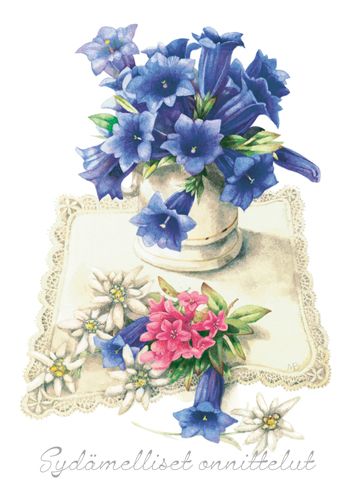 Postikortti Marjolein Bastin