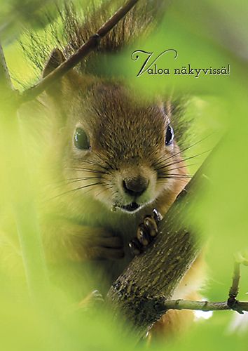 Postikortti kevät