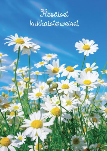 Postikortti kesä