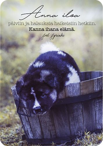 Postikortti Joel Jyrinki