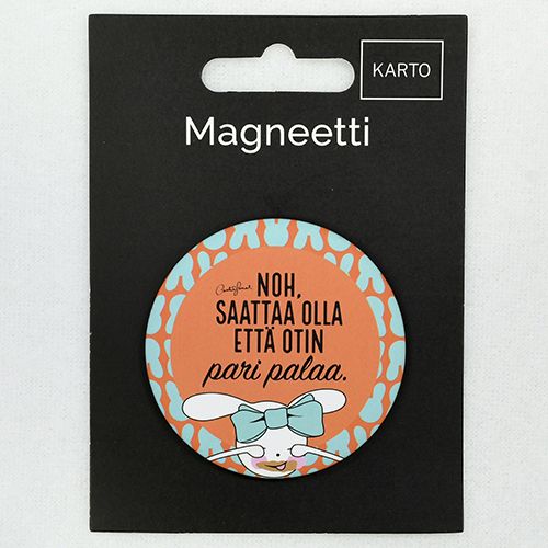 Magneetti Tyypi