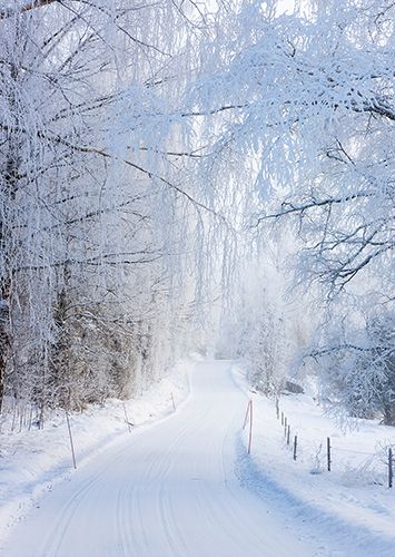 Postikortti talvi