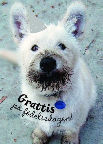 Postikortti eläin ruotsinkielinen Hallmark