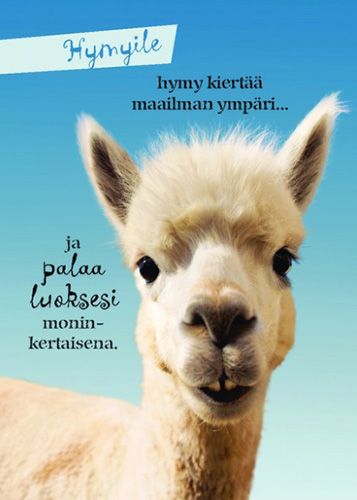 Postikortti hupi