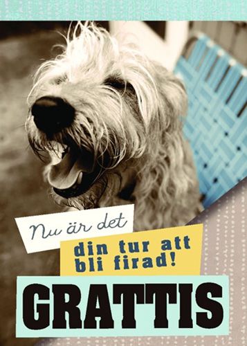 Postikortti hupi