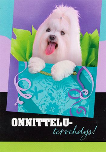 1-os eläinkortti koira