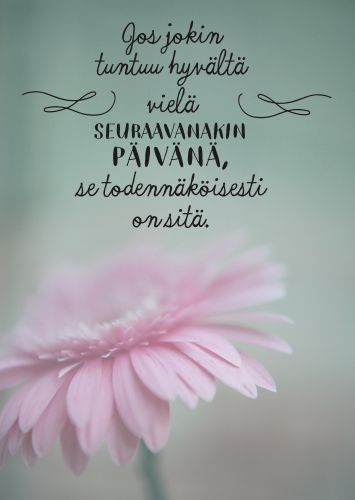 Postikortti