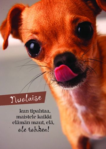 Postikortti hupi